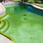 Exemple de piscine envahie d'algues vertes