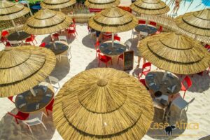 palapa-roseau-200